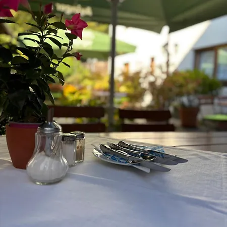 Tannenhof Hotel *